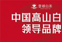 云根茶业福建省经销商2021年度春季培训圆满成功！