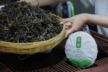 如何喝懂头采春茶？津乔春旭毛料首品「津品茶话」