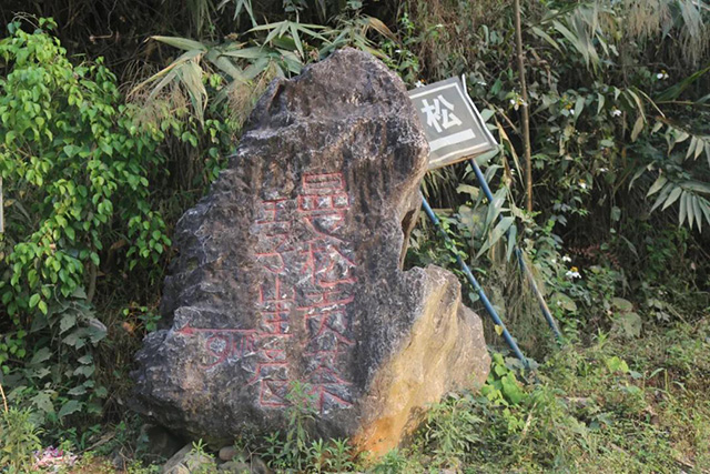 探源三大皇家贡茶山迷帝困鹿曼松