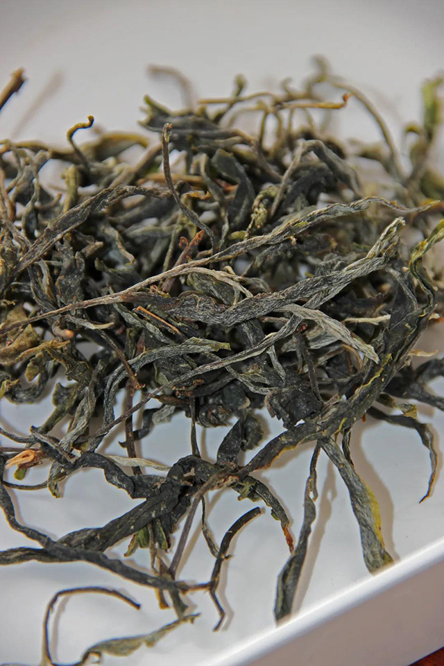 海湾茶业野茶箐古茶园