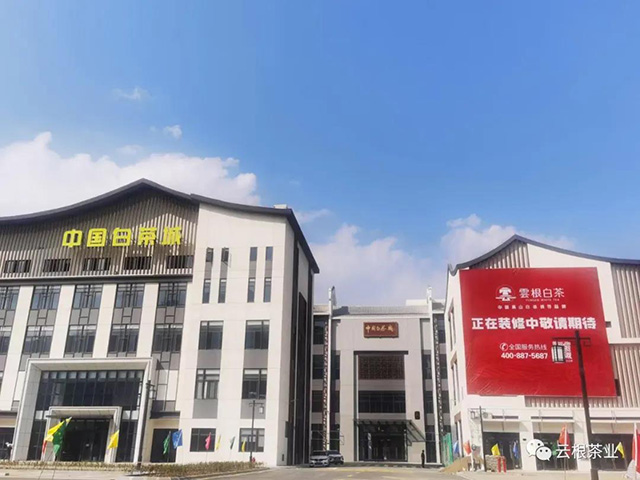 中国白茶城预计4月中下旬开业