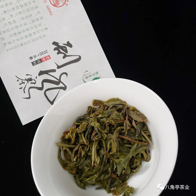 八角亭魅力老寨之刮风寨普洱茶品鉴