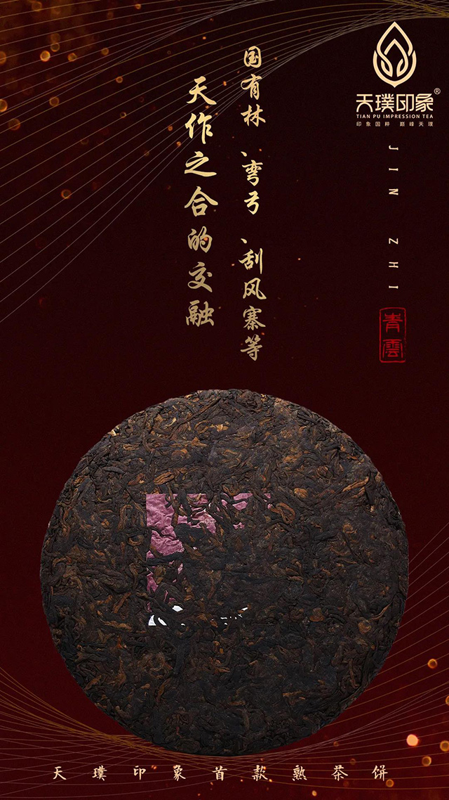 天璞印象金汁古树熟茶