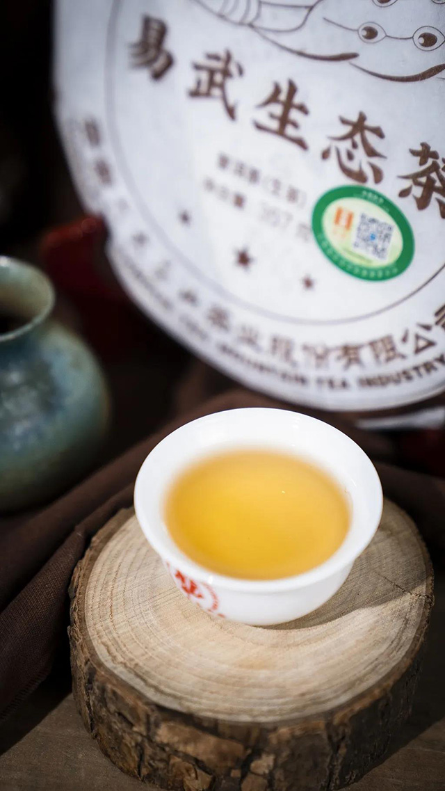 六大茶山普洱茶易武生态茶