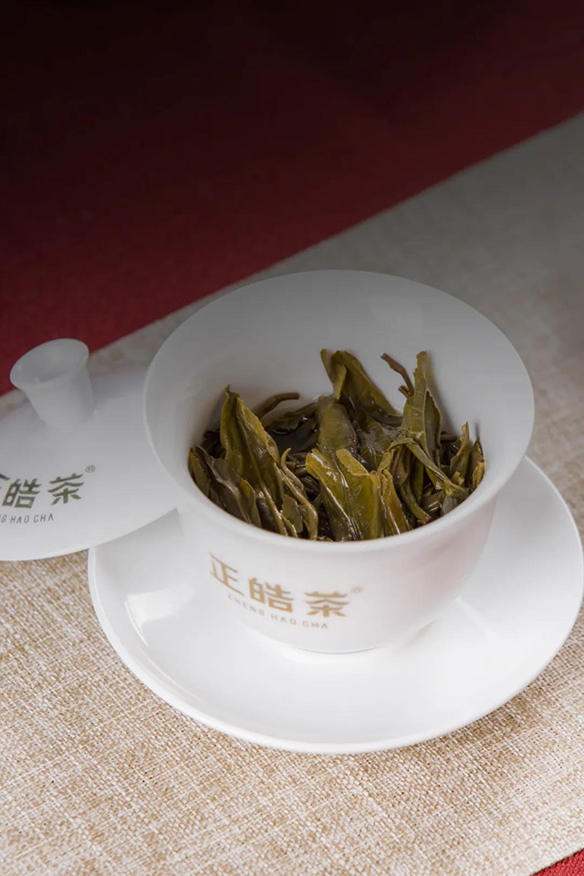 正皓茶易武正山普洱茶品鉴