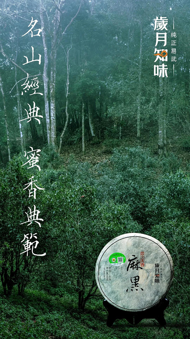 岁月知味麻黑易武茶