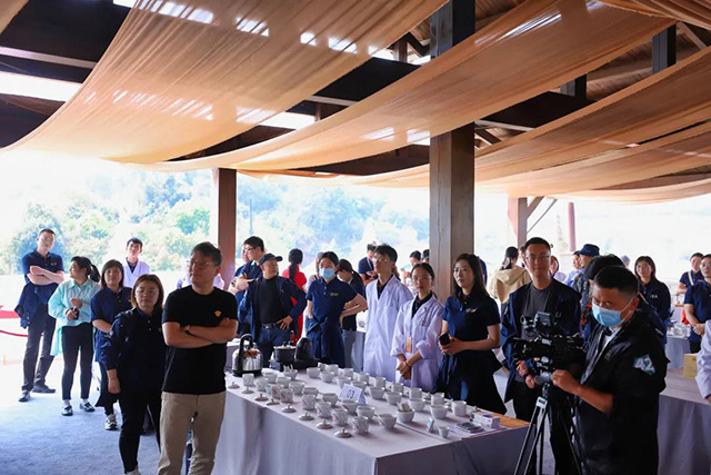 中茶普洱第四届茶王争霸大赛在勐海成功举办