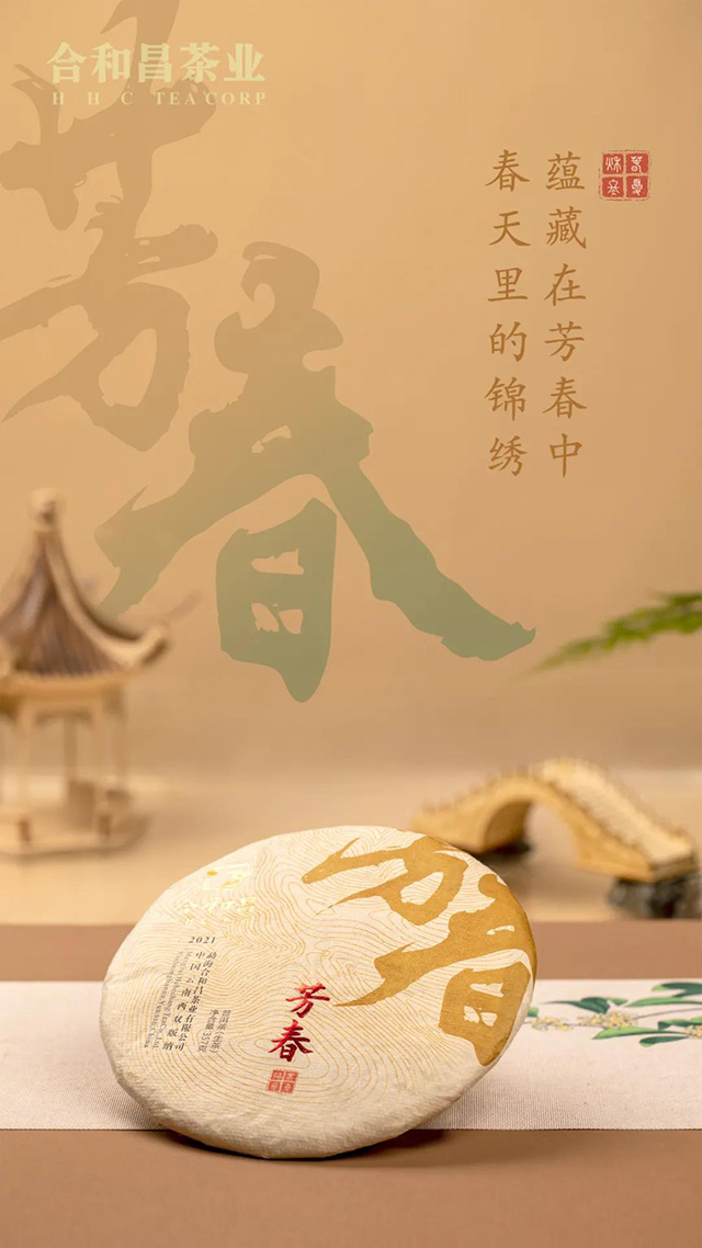 合和昌2021年春茶芳春普洱茶