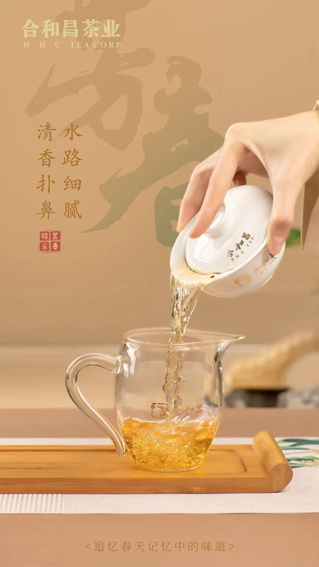 合和昌2021年春茶芳春普洱茶