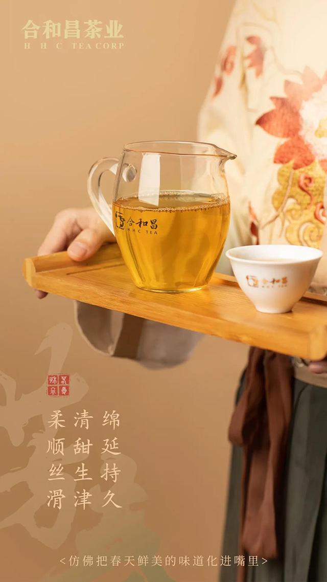 合和昌2021年春茶芳春普洱茶