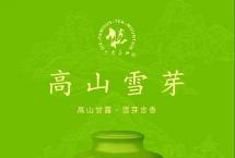 2021六大茶山首款绿茶「高山雪芽」现已上市