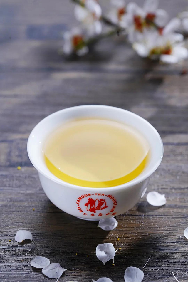 六大茶山春茶