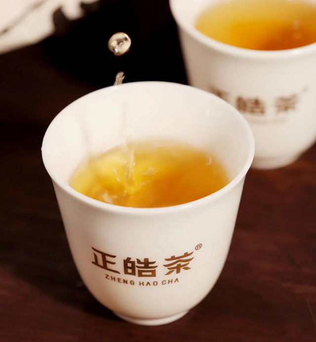 正皓茶头采普洱茶