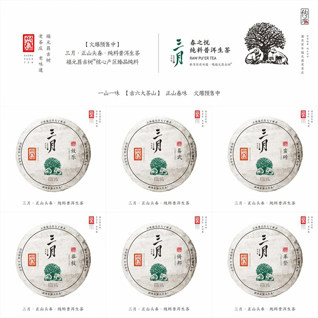 福元昌2021年春茶三月系列正式上市