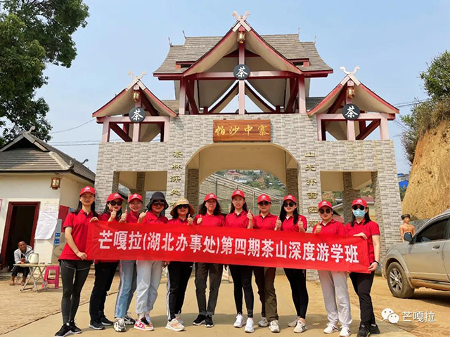 芒嘎拉第十八期茶山游学