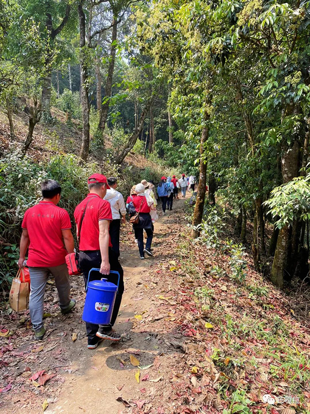 芒嘎拉第十八期茶山游学