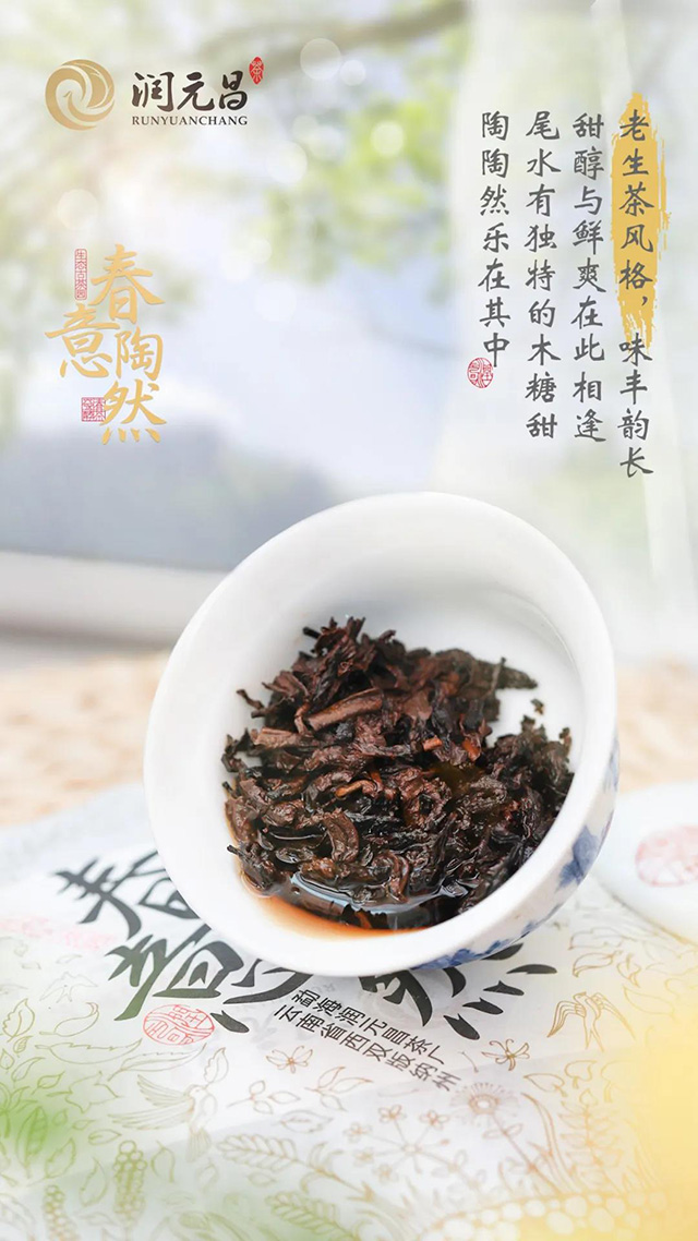 润元昌春意陶然普洱茶