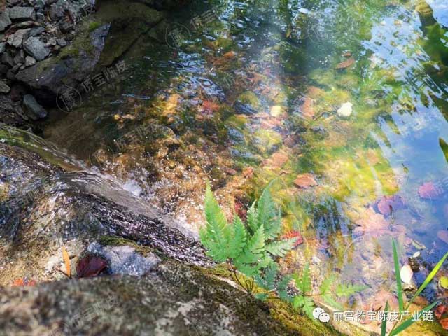  丽宫石涧田园生态小镇