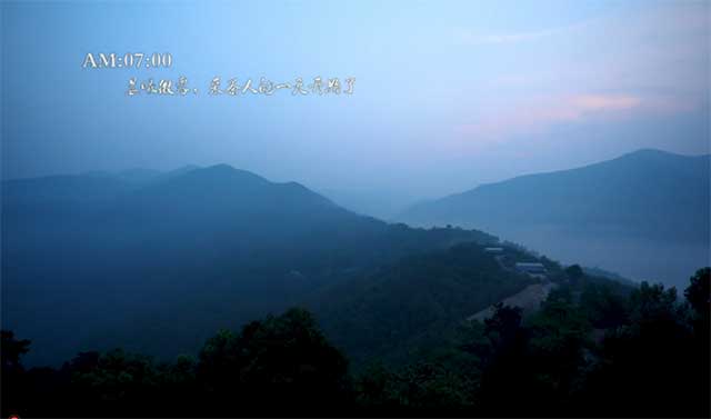 岁月知味易武茶