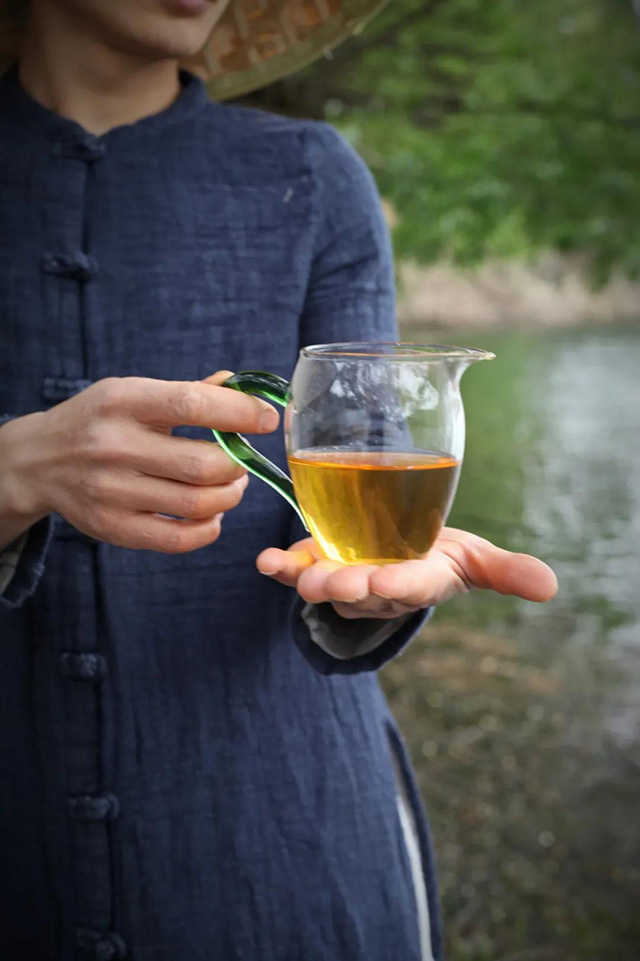 勐麻河荒山大野普洱茶