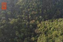 「福元昌2021年茶山行」日记1：六大茶山之魁首，得天独厚攸乐茶