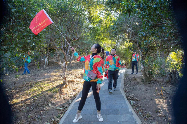 双陈茶山游学之旅