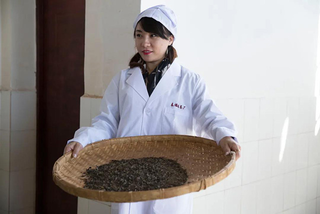 茶友在春福润茶厂体验挑拣毛茶