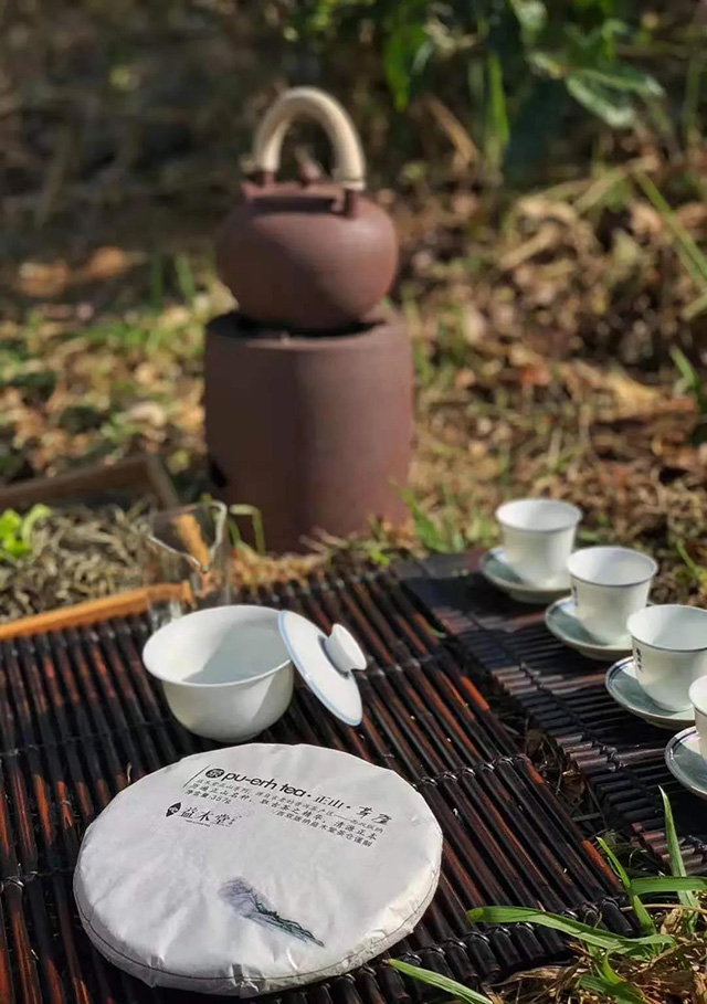 益木堂江内正山革登正山普洱茶