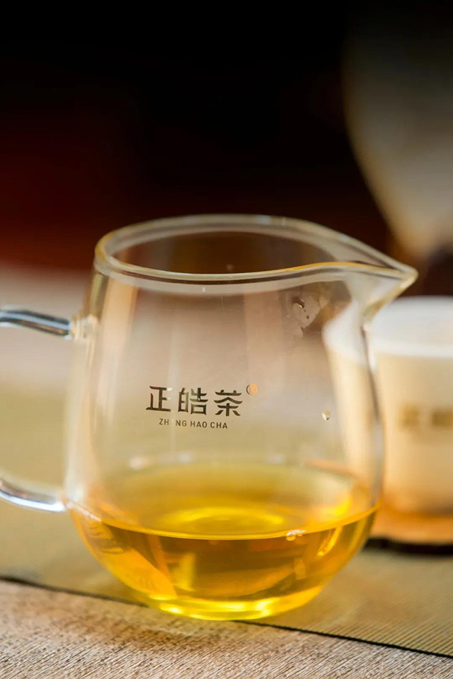 2021正皓茶头采普洱茶