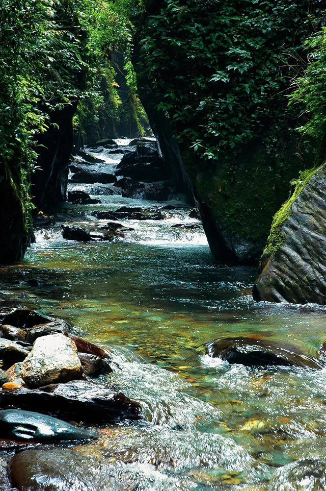 哀牢山茶马古道