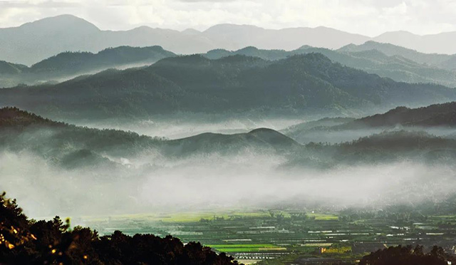 哀牢山茶马古道