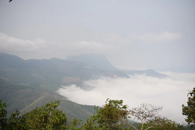 马哲峰革登山寻茶日记