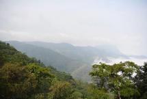 马哲峰：革登山寻茶日记（二）