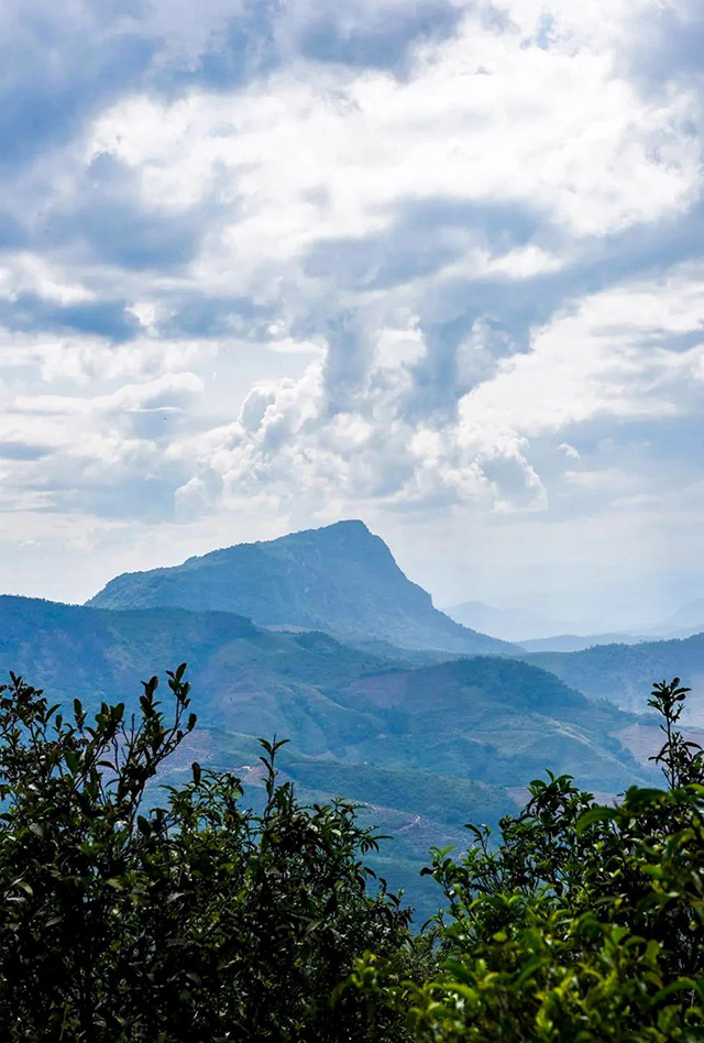 在革登遥望孔明山