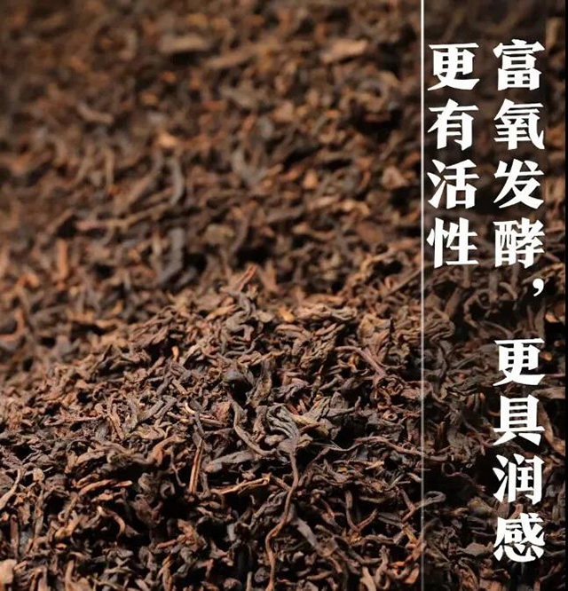 经典熟茶产业发展白皮书