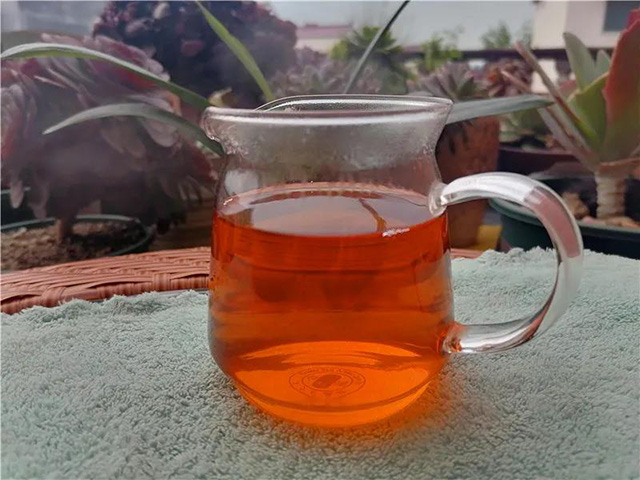 润元昌春意陶然熟茶