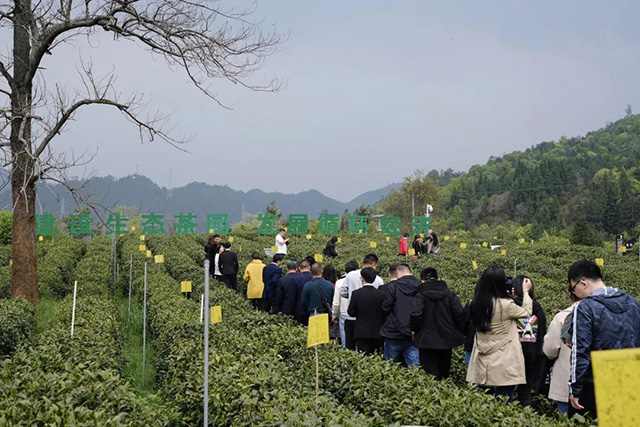 祥源茶2021全国渠道合作伙伴大会