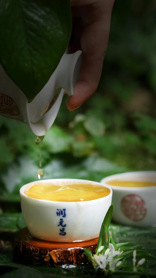润元昌普洱茶产品