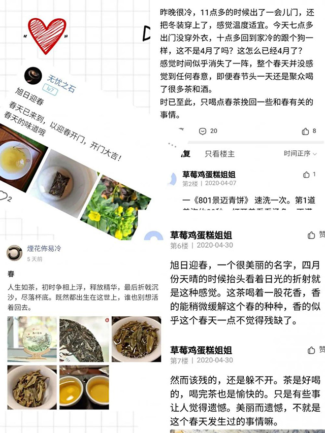 润元昌普洱茶产品