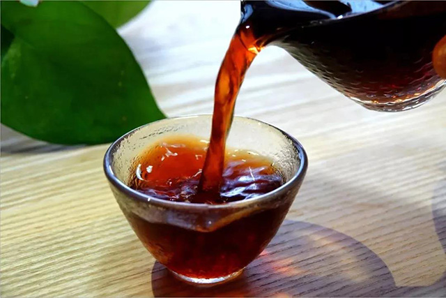 巅茶春禾古茶普洱茶