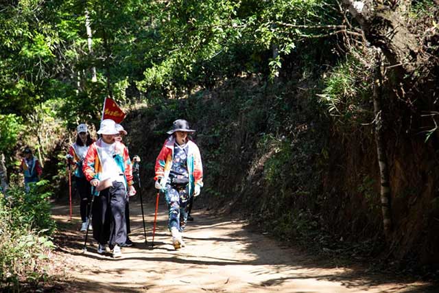 双陈普洱2021年茶山游学之旅