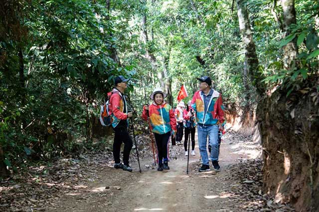 双陈普洱2021年茶山游学之旅