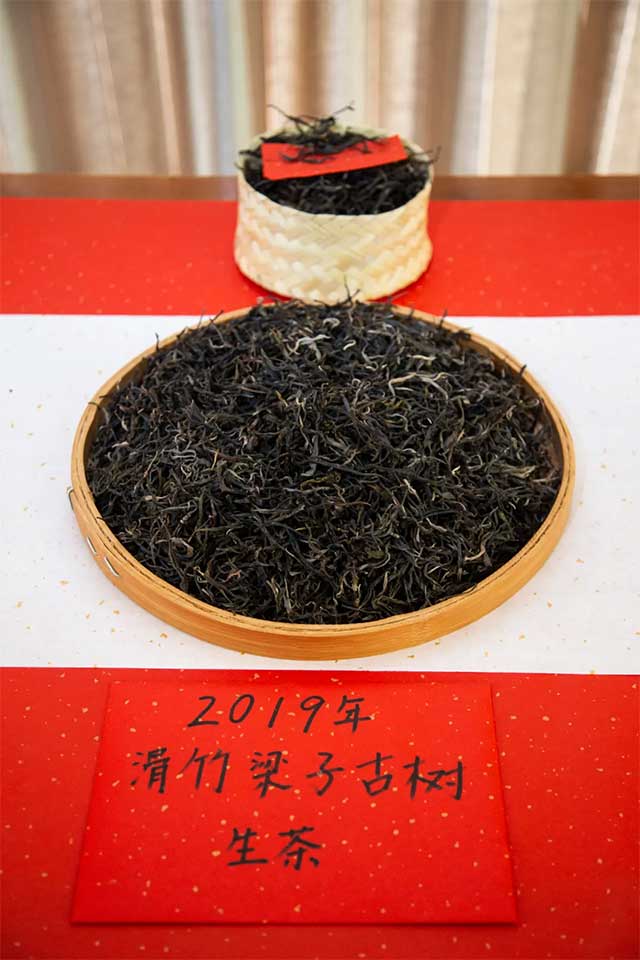 双陈普洱2021年茶山游学之旅