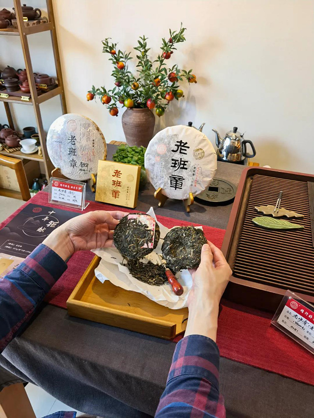 宝和祥十年誌老班章主题品鉴茶会