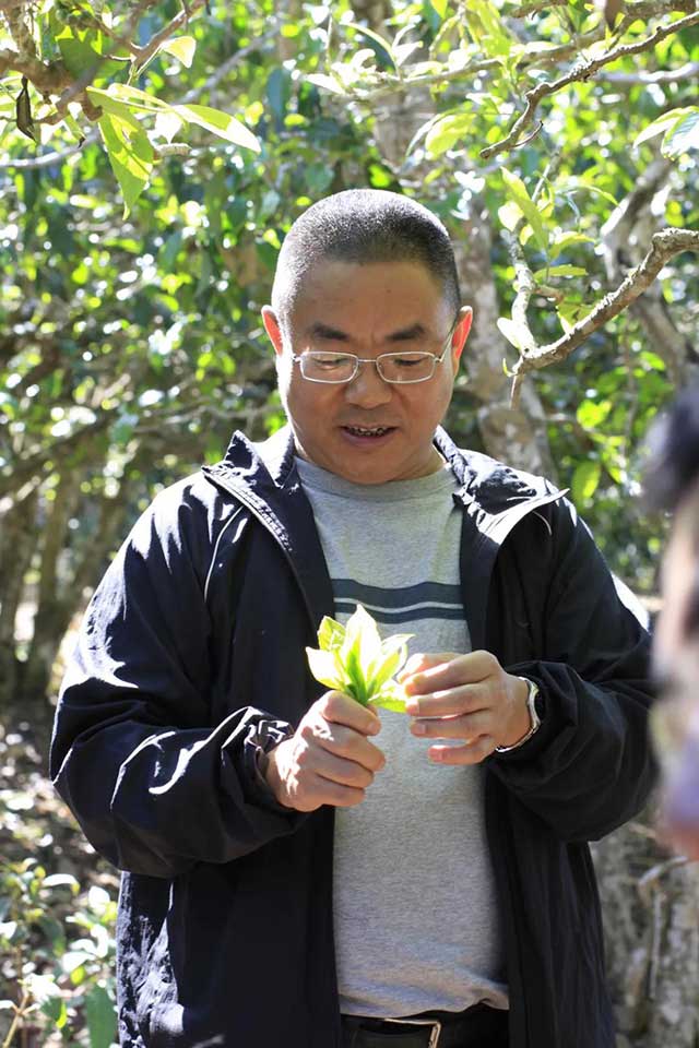 中吉号茶业品牌