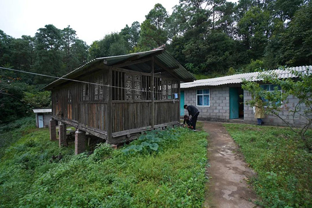 文山顶茶山班纪行