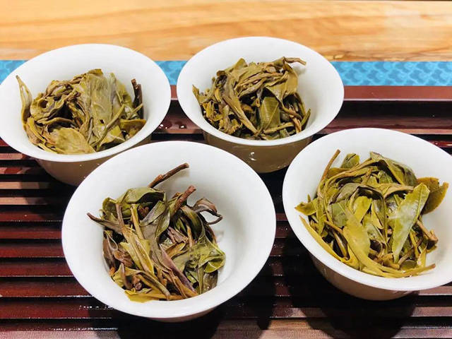 普洱茶茶会