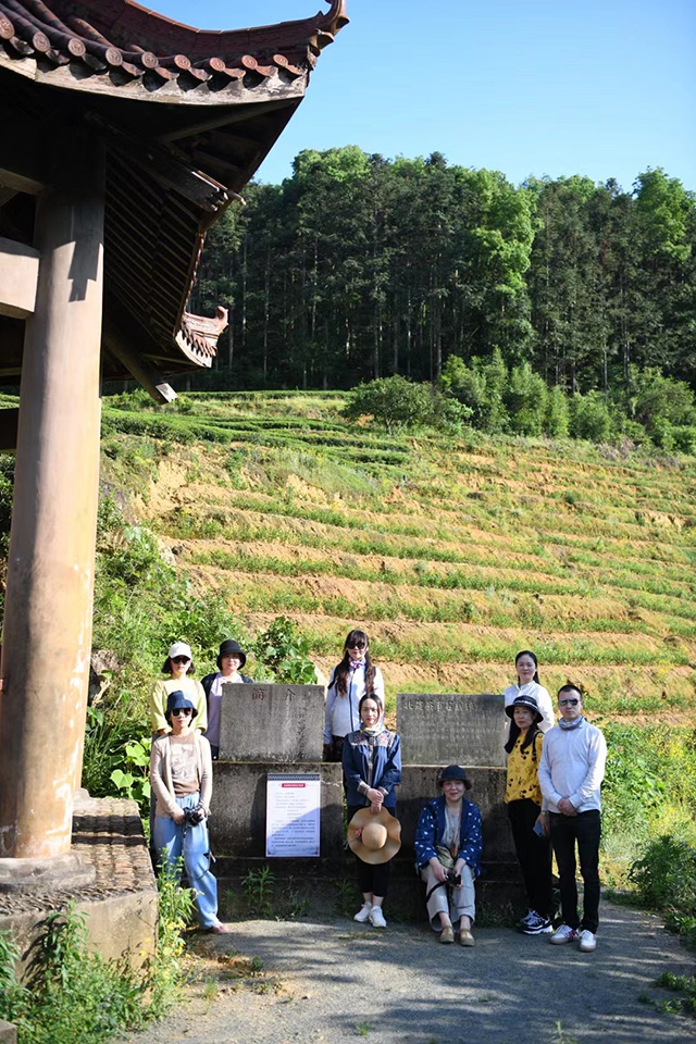 马哲峰闽北乌龙茶寻访日记