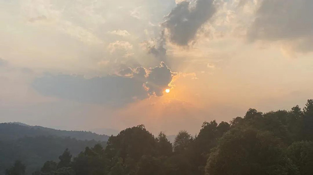 云柯庄园临沧茶山