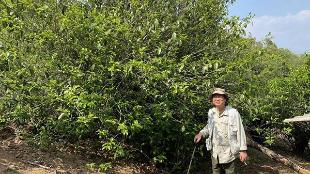 云柯庄园临沧茶山